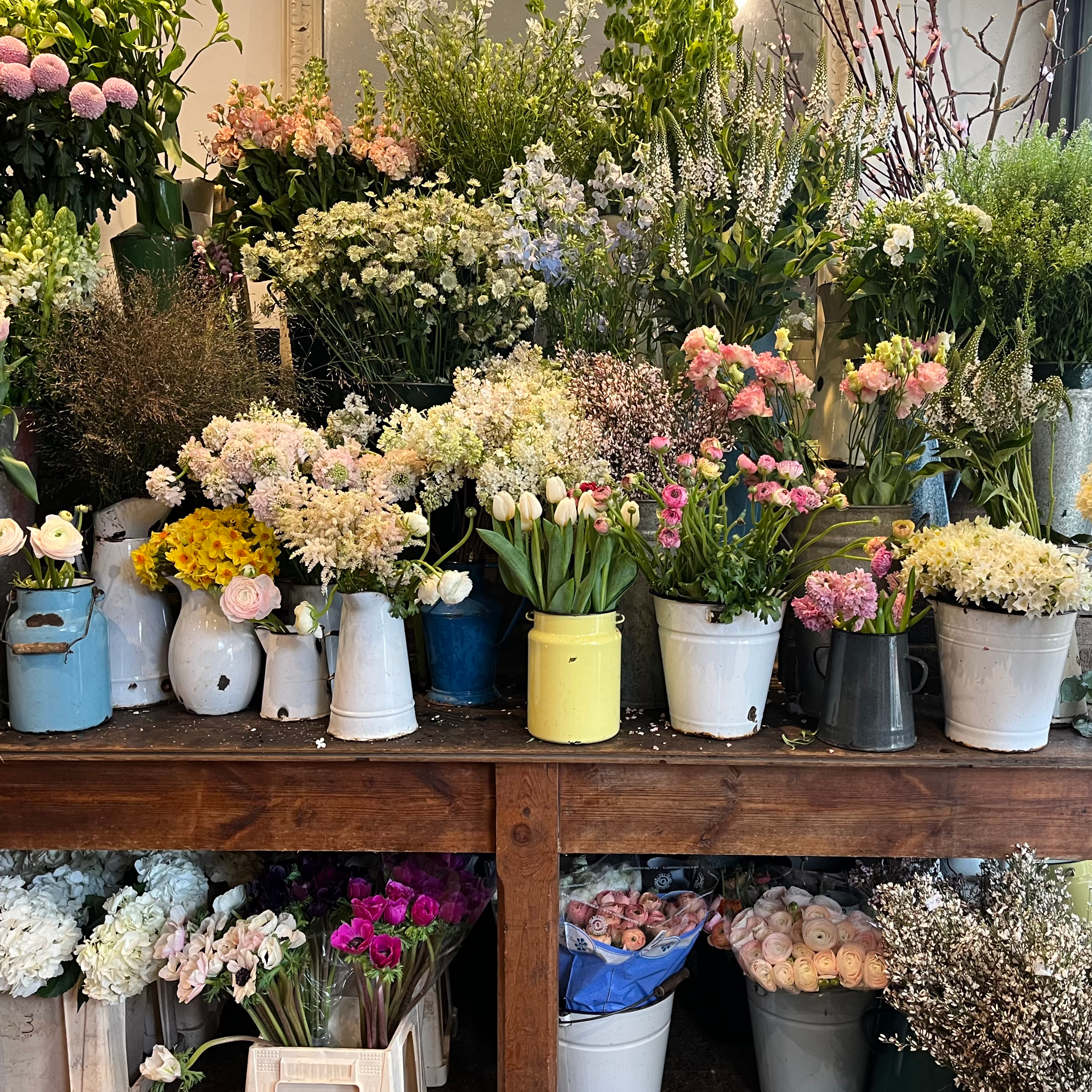 A Neighbourhood Guide to Kensal Rise